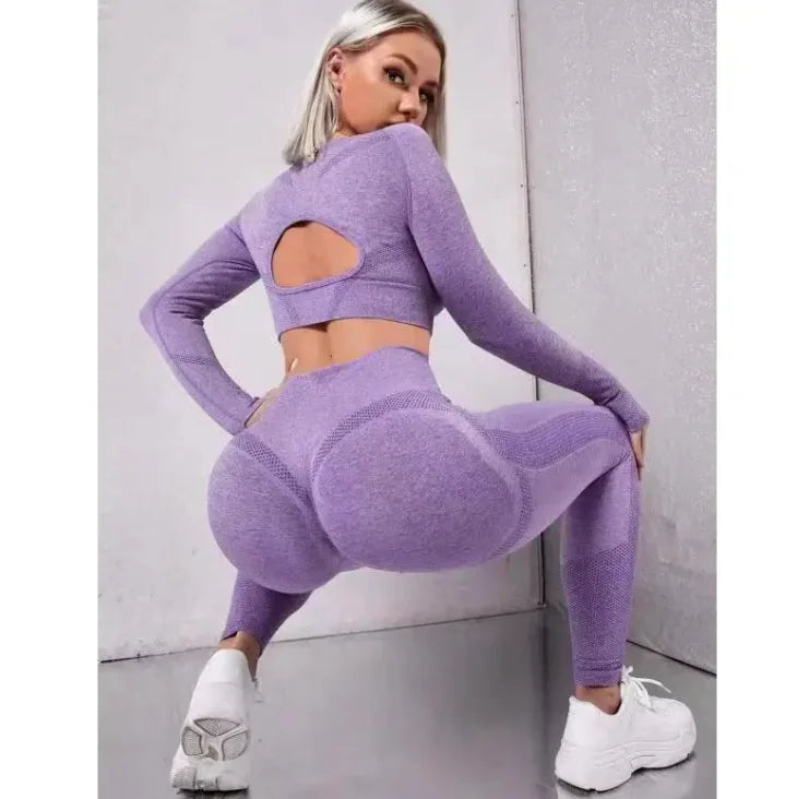 Set Of Sports Swear GYM Yoga Pants and top Two-piece Fitted Women Wear